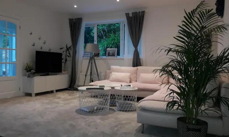 Sunny-side-up Villa St Austell Bagian luar foto